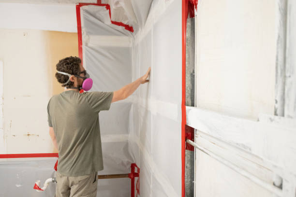 Best Crawl Space Mold Remediation  in Huguley, AL