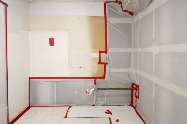 Best Attic Mold Removal  in Huguley, AL