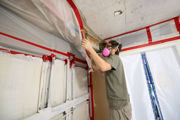 Best Water Damage & Mold Remediation  in Huguley, AL