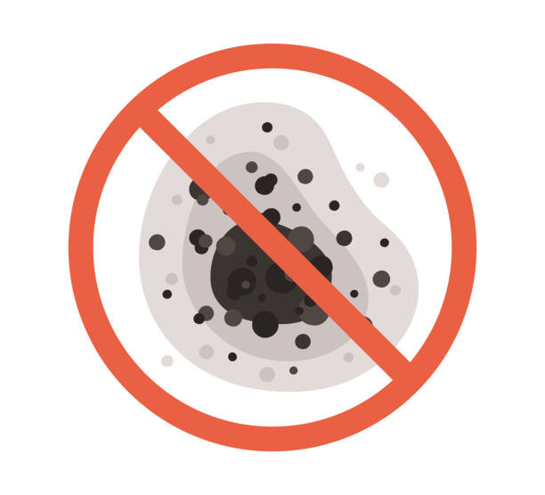 Reliable Huguley, AL Mold Removal Solutions