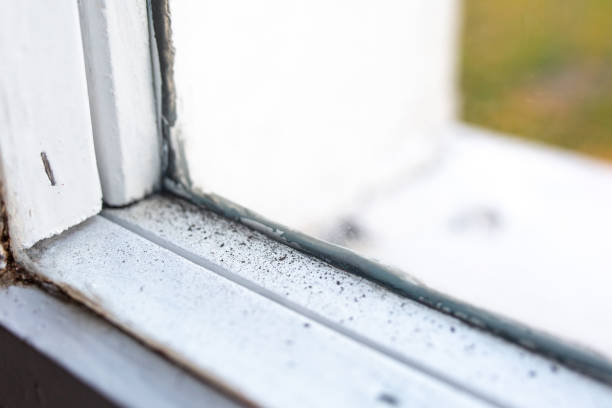 Best Mold Remediation for Healthcare Facilities  in Huguley, AL
