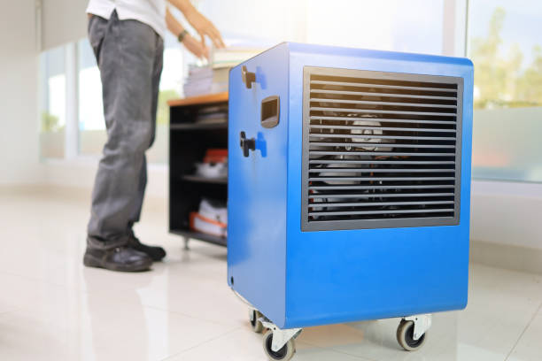 Mold Removal for HVAC Installations in Huguley, AL