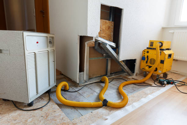 Best Indoor Air Quality Assessment  in Huguley, AL