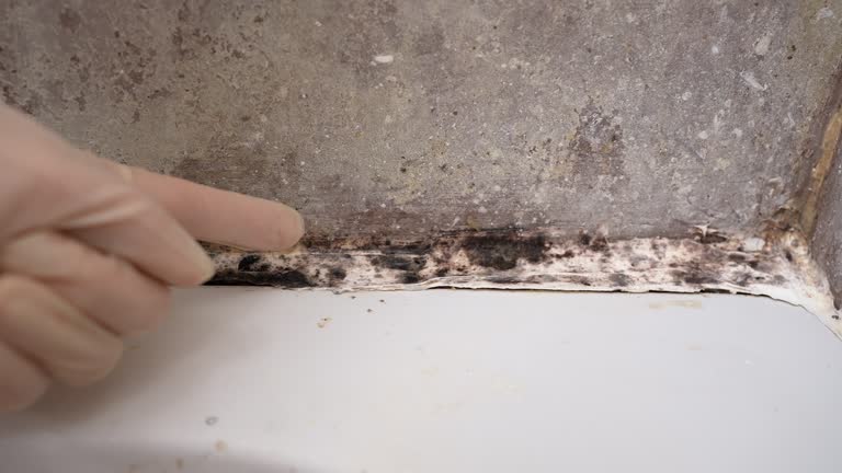 Best Industrial Mold Remediation  in Huguley, AL